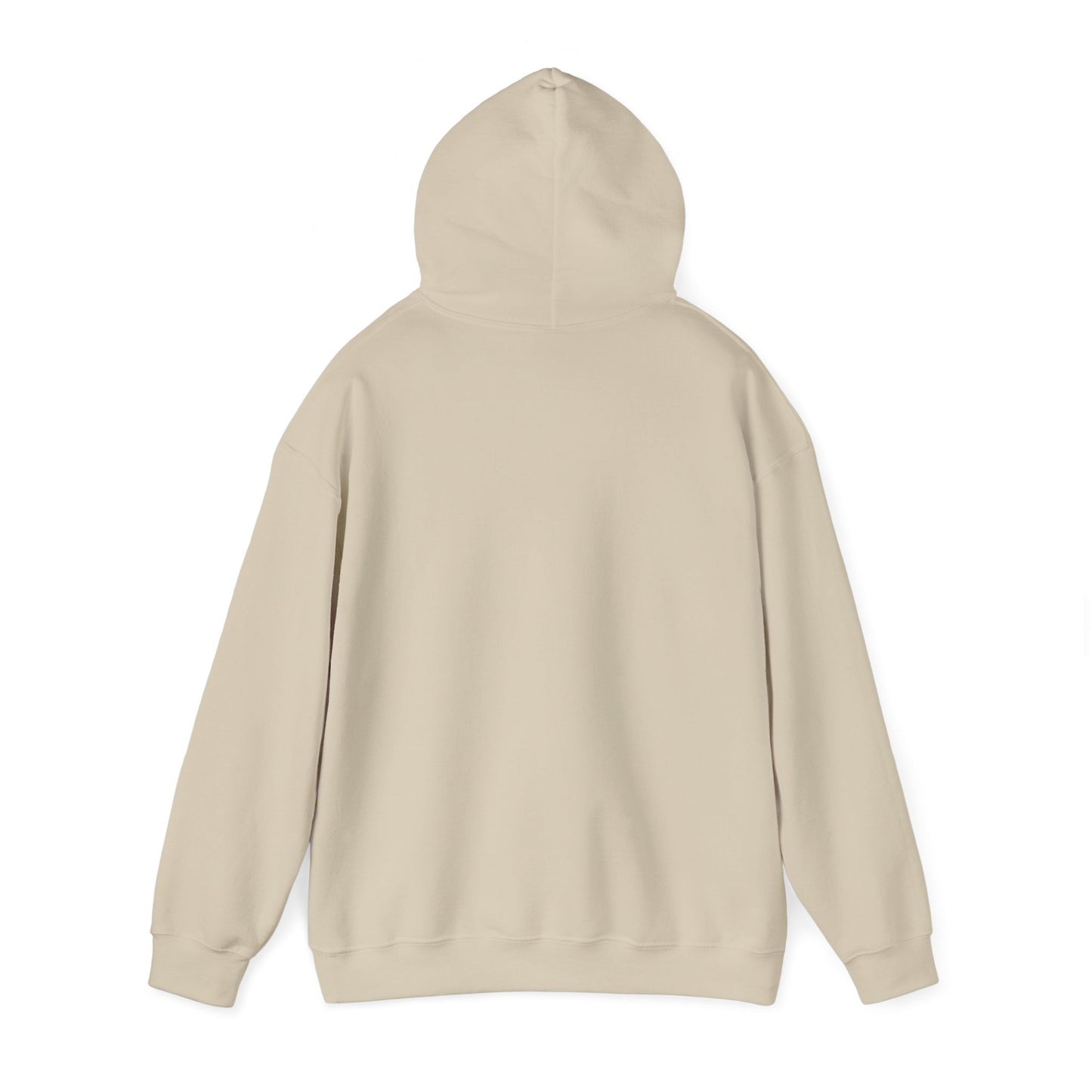 The Struggle Unisex Heavy Blend™ Hooded Sweatshirt Pullover Broke Need Money Sweater Hoodie
