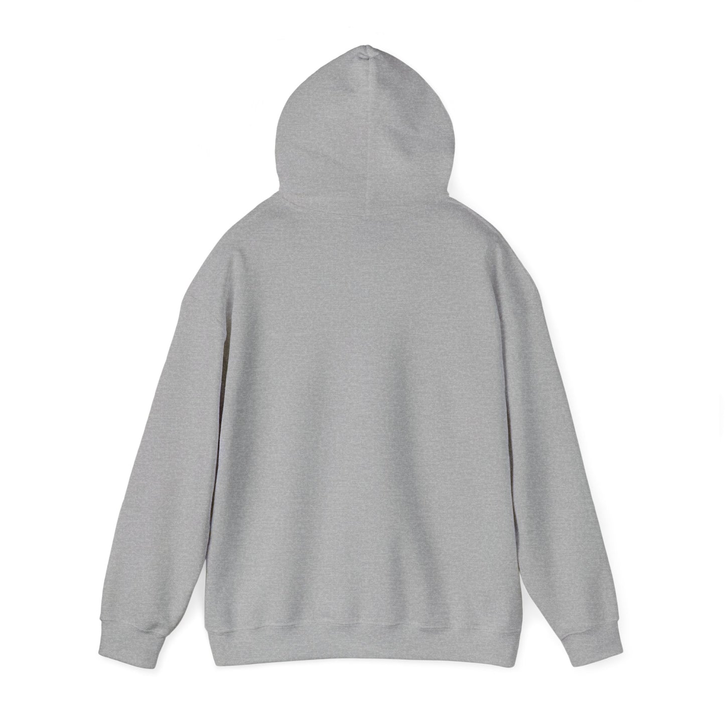 The Struggle Unisex Heavy Blend™ Hooded Sweatshirt Pullover Broke Need Money Sweater Hoodie